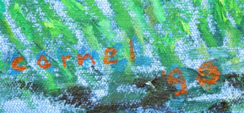 Landschap Berendrecht van  Cornel Snels