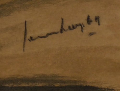 De Belgische kunstenaar Charles Counhaye met een gemende techniek