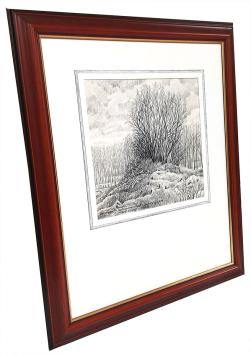 Zennegat - Natuurreservaat Oude Dijlearm 1995