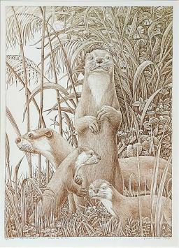 Litho uit 1987 van Frans Croes kopen