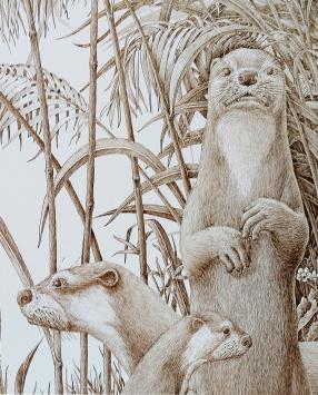 Lithografie van Croes Frans