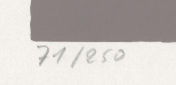 Man met das 71/250