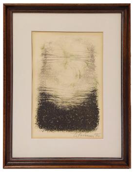 Litho van Dana Puchnarová