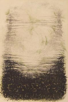 Tjechische kunstenares Dana Puchnarova