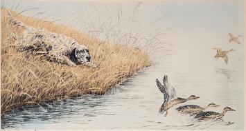 Engelse Setter met eenden van Léon Danchin