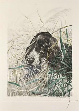 Léon Danchin met een ets van zwart-witte spaniël met watersnip