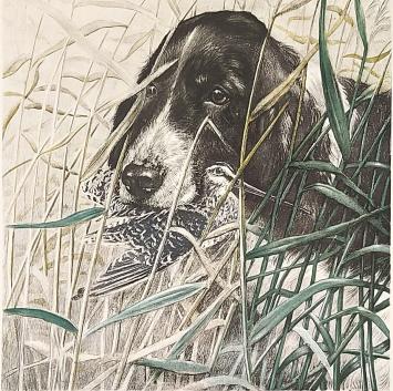 Grote litho van Léon Danchin kopen