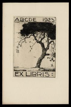 Gravure van de Belgische kunstenaar Dirk Baksteen kopen