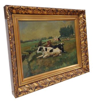 Koeien rustend in de weide