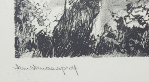 Gedicht van Jan Emiel Daele geillustreerd door  Dees de Bruyne