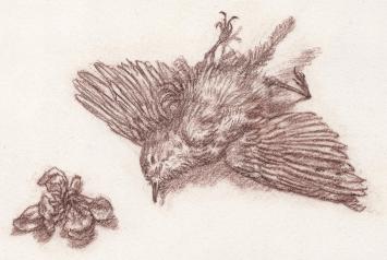 Paul Van Dessel met een kleine tekening