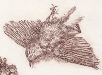 Kunstwerkje van Paul Van Dessel