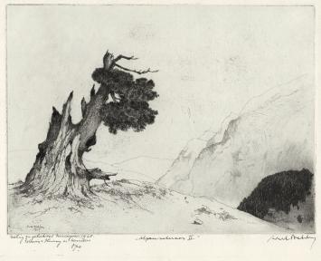 Belgische etser Dirk Baksteen met een ets van een boom in de Alpen