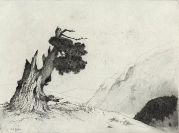 Etsen van D. Baksteen kopen