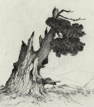 D. Baksteen met een fijne ets