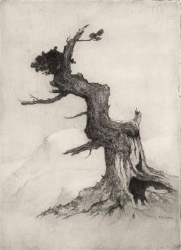 Etsen van D. Baksteen kopen, gesigneerd