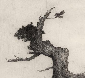 D. Baksteen met een fijne ets uit 1968