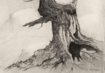 De Alpenverteraan, grote ets van Baksteen kopen