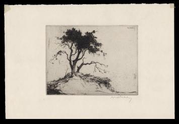 Ets uit 1924 van de Belgische kunstenaar Dirk Baksteen kopen