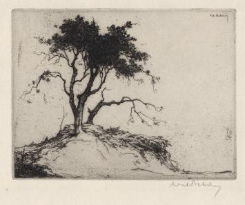 Belgische etser Dirk Baksteen met een ets uit 1924