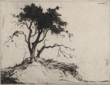 Etsen van D. Baksteen kopen, gesigneerd