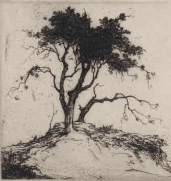 D. Baksteen met een fijne ets uit 1924