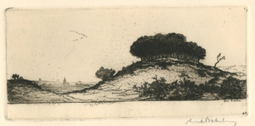 Ets van de Belgische etser Dirk Baksteen kopen