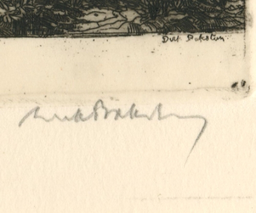 Ets van D. Baksteen kopen