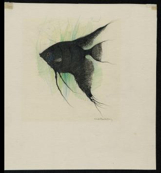 Potloodtekening van de Belgische kunstenaar Dirk Baksteen kopen