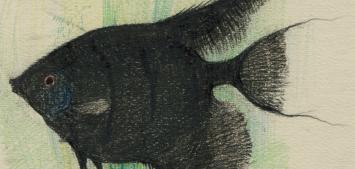 Tekening van Dirk Baksteen kopen