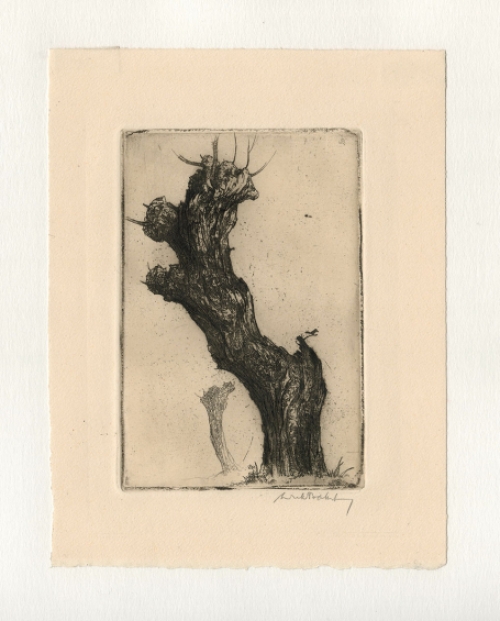 Dirk Baksteen met een originele ets op papier