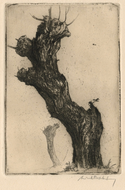 Ets van de Belgische kunstenaar Dirk Baksteen