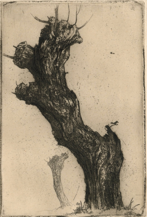 Ets van de Belgische etser Dirk Baksteen kopen