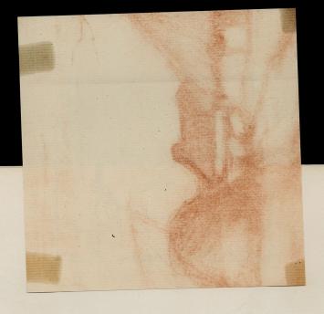 Landschapje, eenzame boom en windmolen