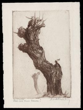 Ets uit 1936 van de Belgische kunstenaar Dirk Baksteen kopen