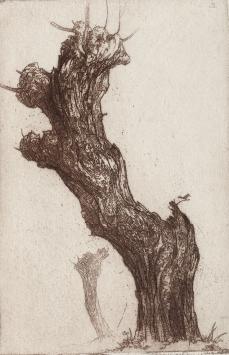 Etsen van D. Baksteen kopen, gesigneerd