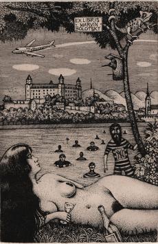 Kunstwerk van Dusan Polakovic aankopen