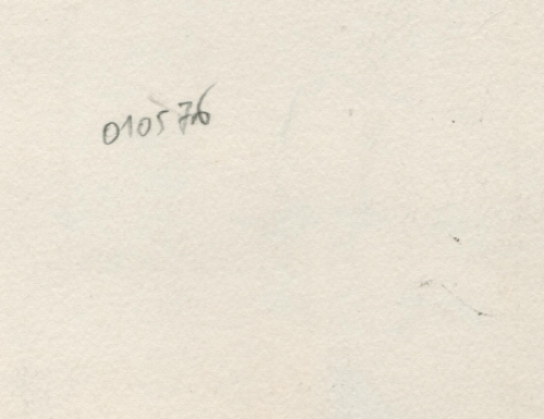 Tekening gemengde techniek,  naakt 1976