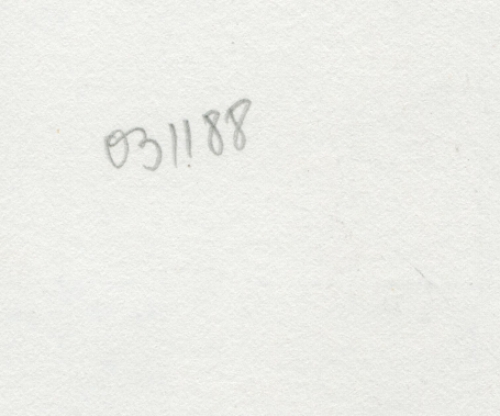 Naakt abstracte verschuiving 031188