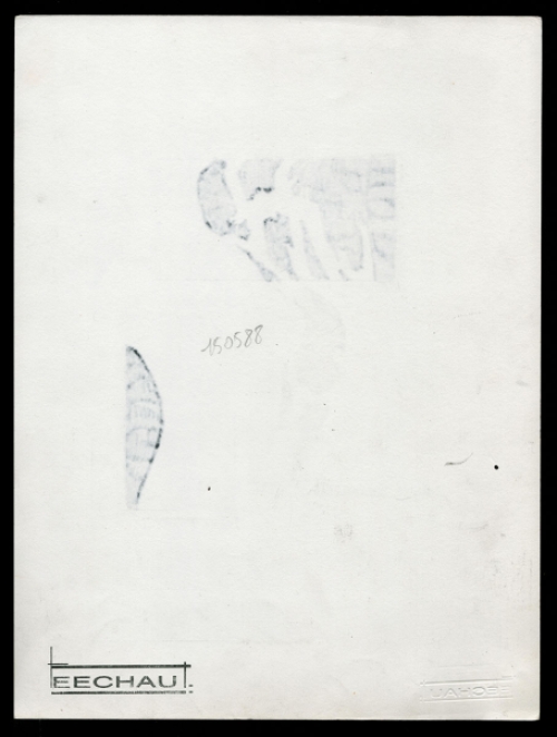 Licht gekleurde Schaduwtekening, Takkendame 15 05 88