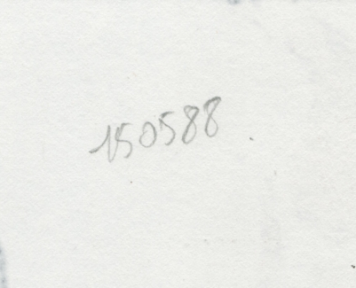 Licht gekleurde Schaduwtekening, Takkendame 15 05 88