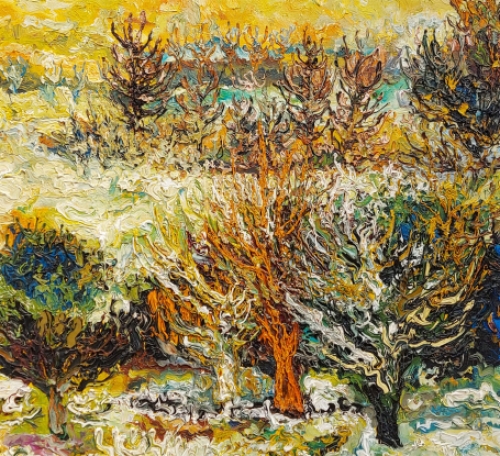 Kunstschilder Etienne Le Compte met een expressief kunstwerk