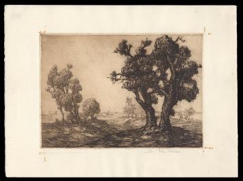 Ets van de Belgische kunstenaar Edmond Van Dooren kopen