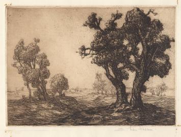 Belgische etser Edmond Van Dooren