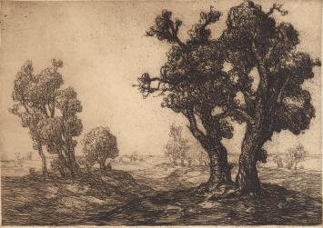 Belgian etcher and drafsman Edmond Van Dooren