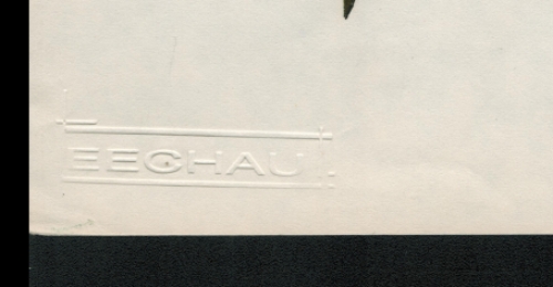 De Belgische kunstenaar Eugène Eechaut