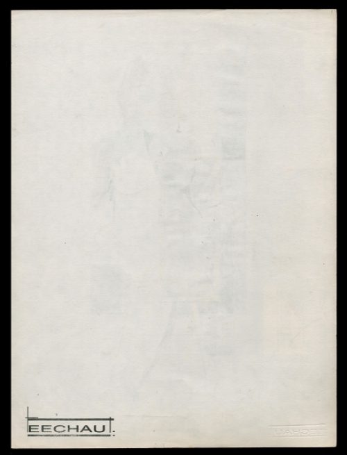 Collage van E. Eechaut kopen