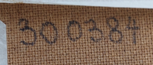 Staande naakte dame bij paspop 1984