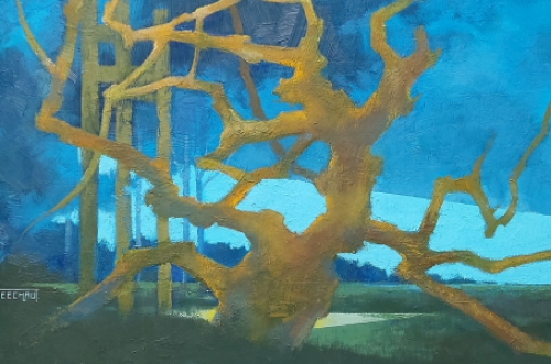 De Belgische kunstenaar Eugène Eechaut