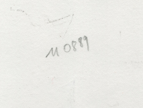 Tekening gemengde techniek,  naakte dame 11 08 1989